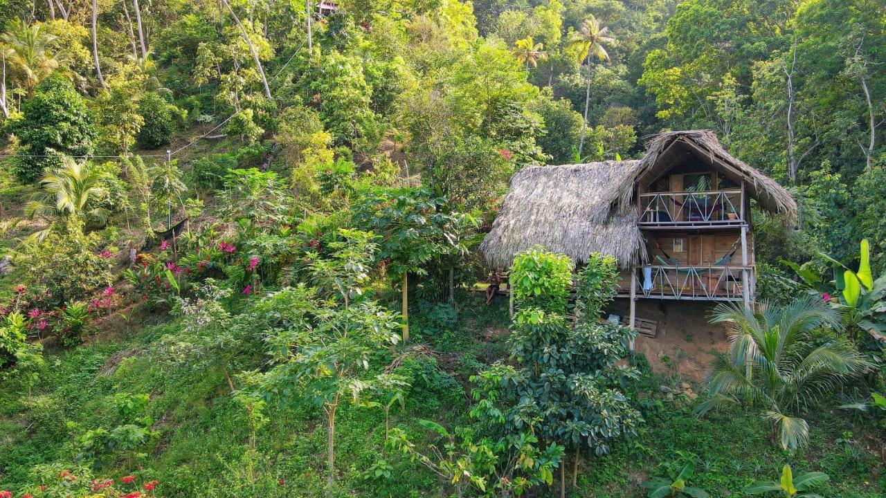 Finca La Selvita Chocolate Experience Buritaca Exterior photo
